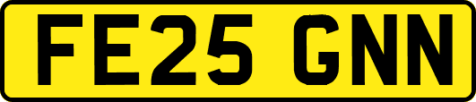 FE25GNN