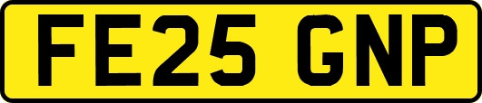 FE25GNP