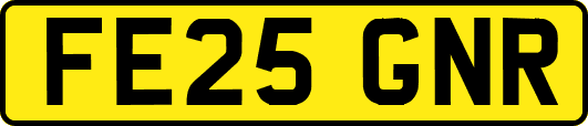 FE25GNR