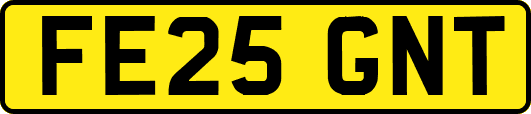 FE25GNT