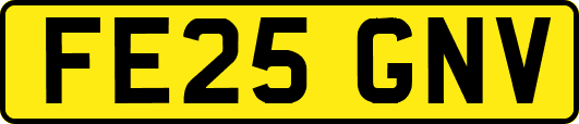 FE25GNV