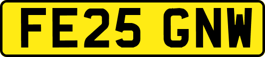 FE25GNW