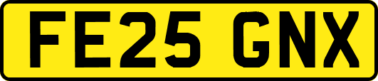 FE25GNX