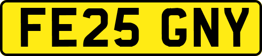 FE25GNY