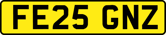 FE25GNZ