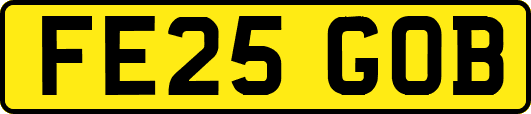 FE25GOB