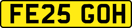 FE25GOH