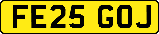 FE25GOJ