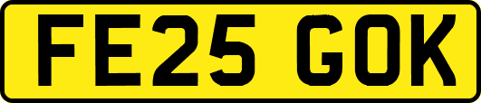 FE25GOK
