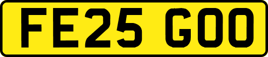 FE25GOO