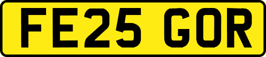 FE25GOR