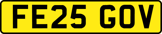 FE25GOV