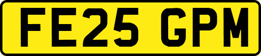 FE25GPM