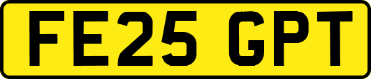 FE25GPT