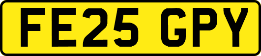 FE25GPY