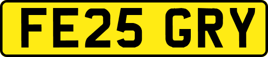 FE25GRY