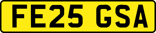 FE25GSA