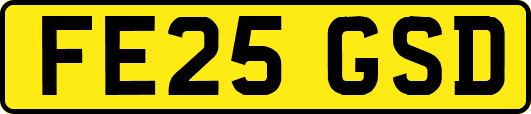 FE25GSD