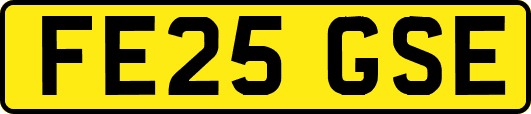 FE25GSE