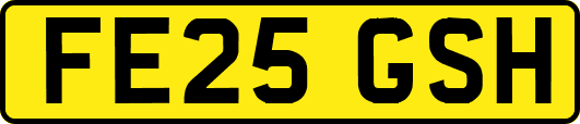 FE25GSH