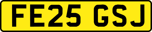FE25GSJ