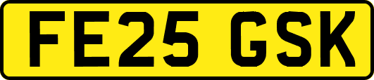 FE25GSK