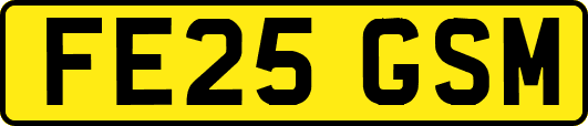 FE25GSM