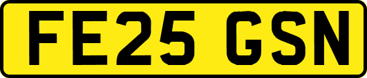 FE25GSN