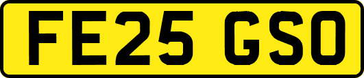 FE25GSO