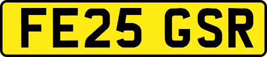 FE25GSR