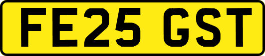 FE25GST