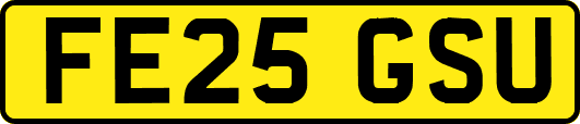 FE25GSU