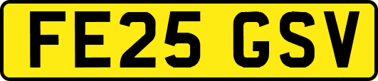 FE25GSV