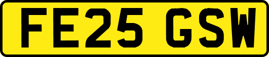 FE25GSW