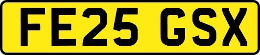 FE25GSX
