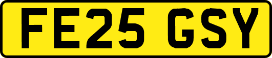 FE25GSY