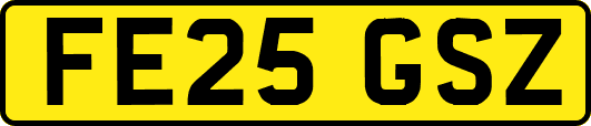 FE25GSZ