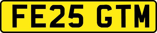 FE25GTM