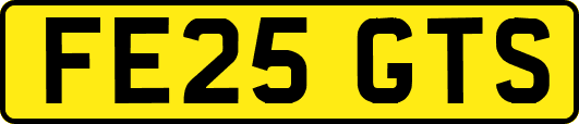 FE25GTS