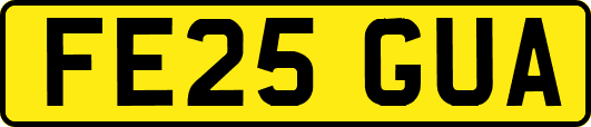 FE25GUA