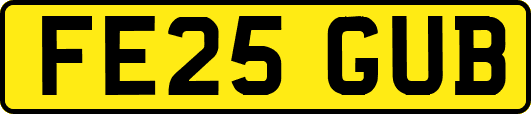 FE25GUB