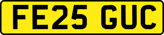 FE25GUC