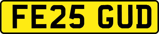 FE25GUD