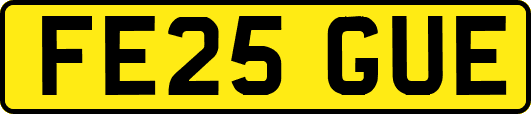 FE25GUE