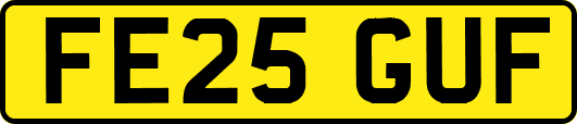 FE25GUF