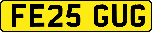 FE25GUG