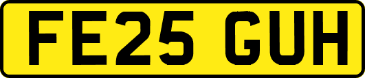 FE25GUH