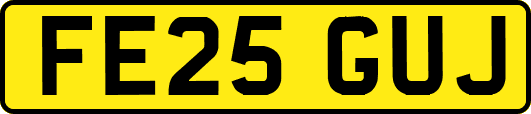 FE25GUJ