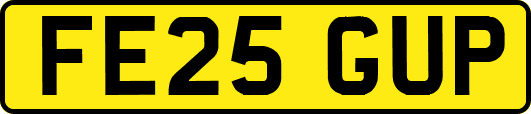 FE25GUP
