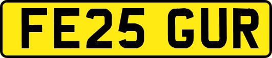 FE25GUR